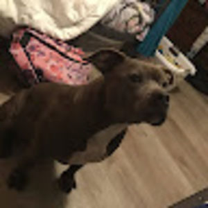 Meet your Posher, Ebelina